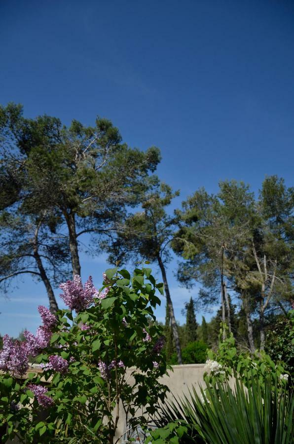 Villa Mas Du Puech Cymbale Assas Exterior foto